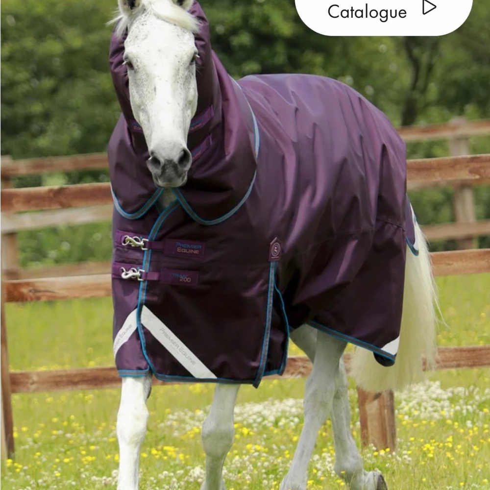Premier Equine Titan 200g Turnout blanket w/ Snug-Fit Neck Cover Purple - 87